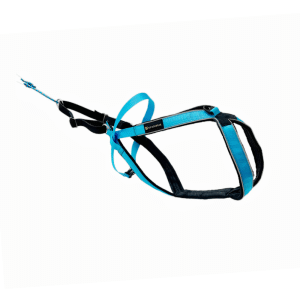 VIP Multisport Sele Turkis 2.0 (lang utgave)